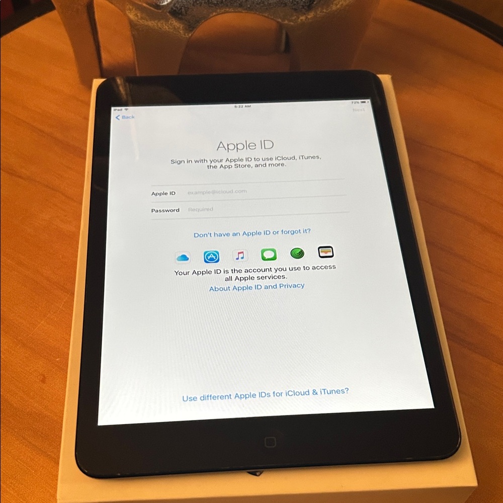 Apple iPad Mini - Dark Gray